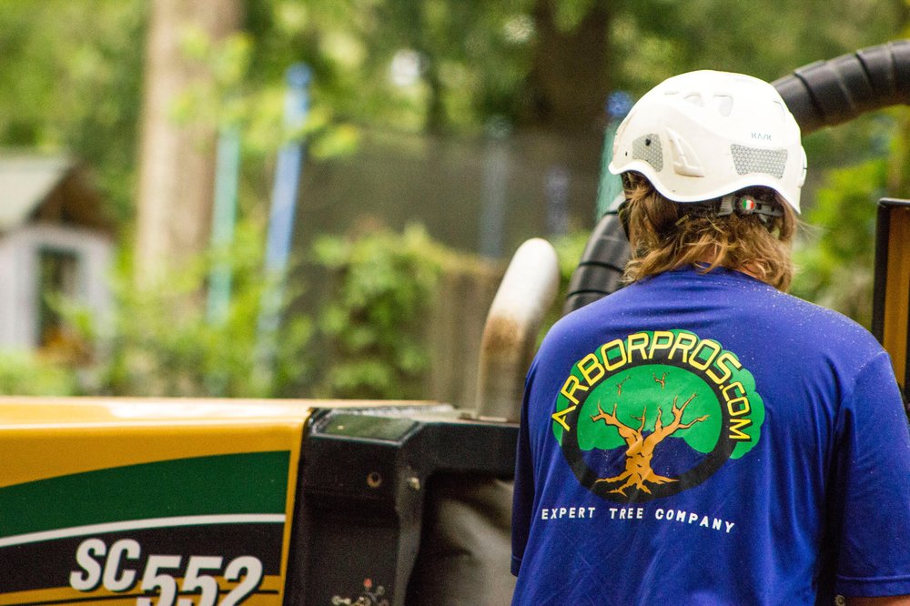 Arbor Pros Expert Tree Company