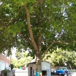 Central Nursery School Elementary Schools 5265 H St East Photo Of Central Nursery School Sacramento Ca United States