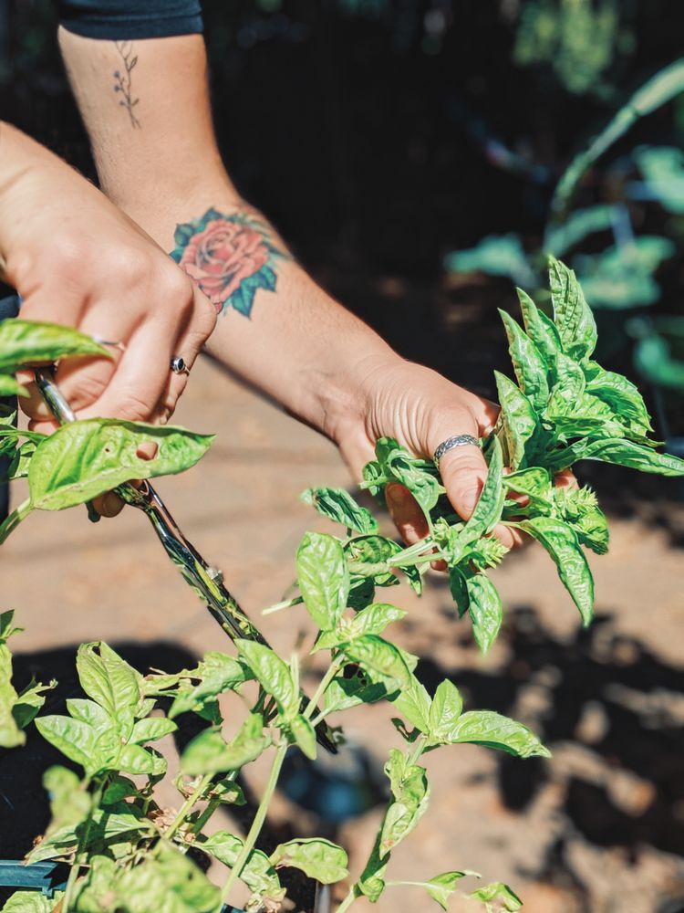 Rider’s Ranch Rider’s Ranch