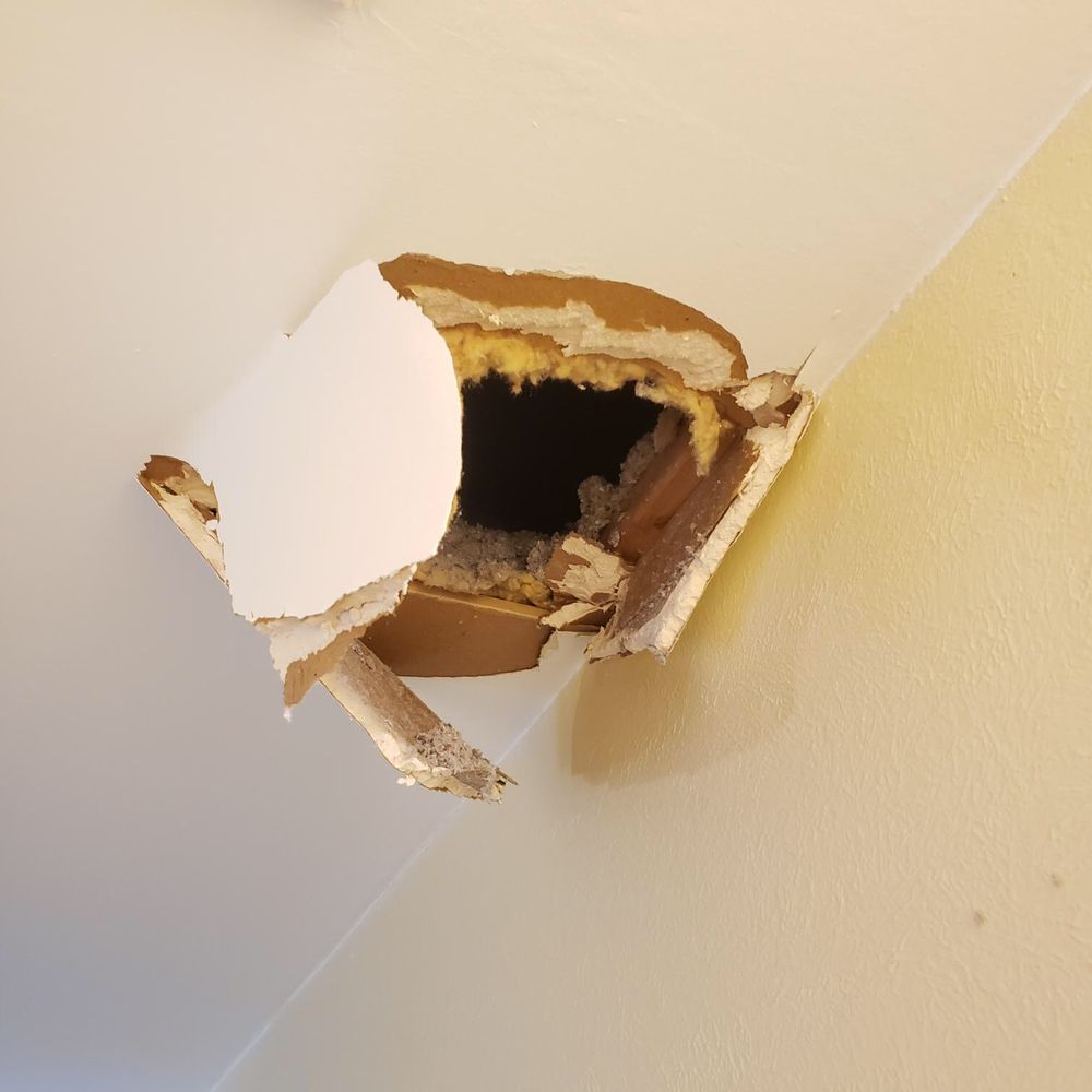 RG Paint & DryWall