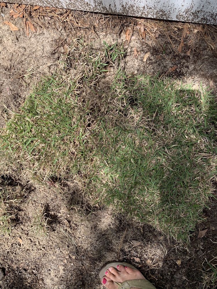 Superior Sod & Garden Supplies