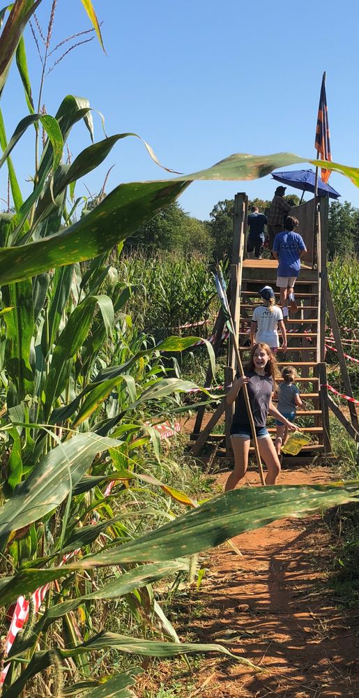 The Corn Maze in the Plains