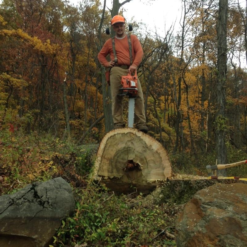 Boisseau  Tree Service