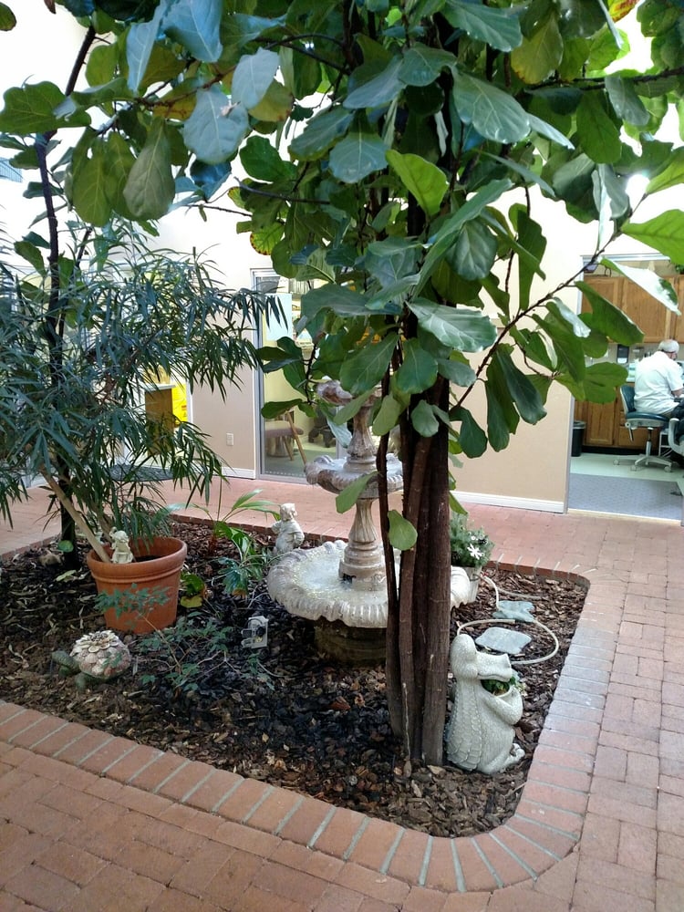 image of business Goodman Dental Care