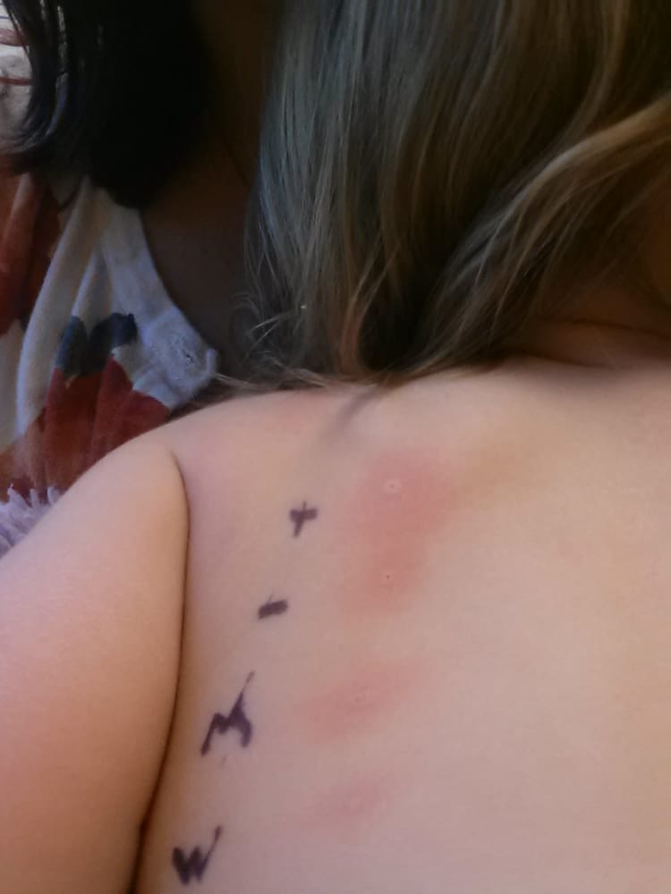 image of business WellStar Medical Group Allergy & Asthma