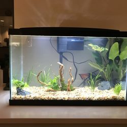 aqua forest aquarium 110