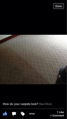 Dana Point Carpet Cleaning 949 954 8367