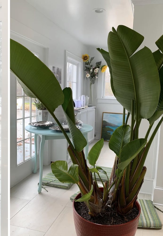 The White House on Washington Street