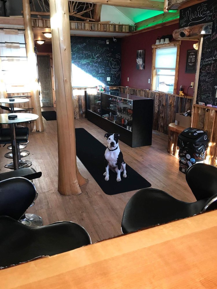 SPCA of Westchester 11 Photos & 42 Reviews Animal Shelters 590 N