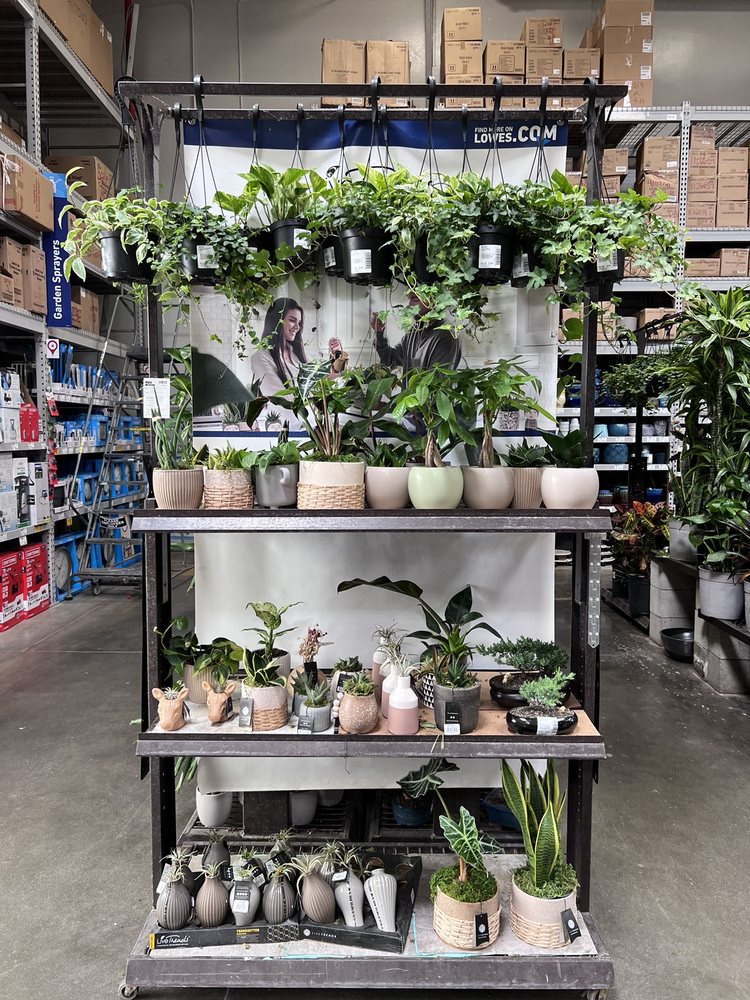Lowe's Home Improvement