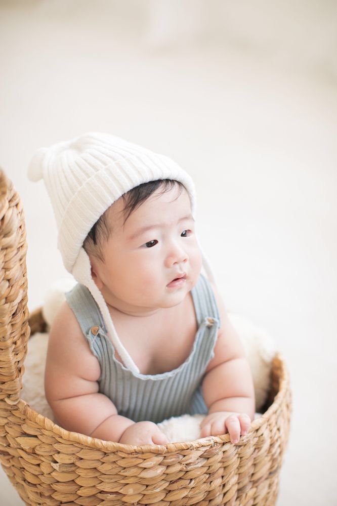 Vivi Studio