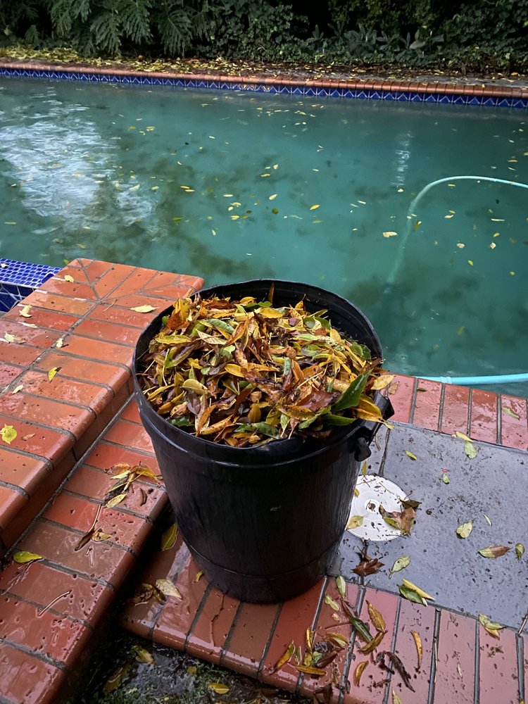 Diamond Pool Service