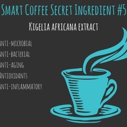 Photo Of Elevate Smart Coffee Brew Photo Of Elevate Smart Coffee Brew
