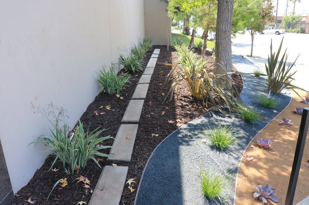 Rangel Landscapes 404 Photos 21 Reviews Tree Services Santa Rangel