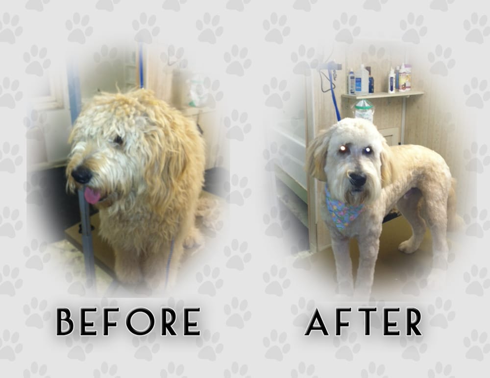 KeyLore Kennel Pet Sitting 7185 Gillette Rd, Flushing, MI Phone