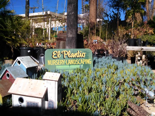 El Plantio Nursery 1322 San Pasqual Valley Rd Escondido Ca El Plantio Nursery 1322 San Pasqual Valley Rd Escondido Ca Nurseries Mapquest