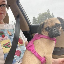 Lake Forest Animal Clinic photo
