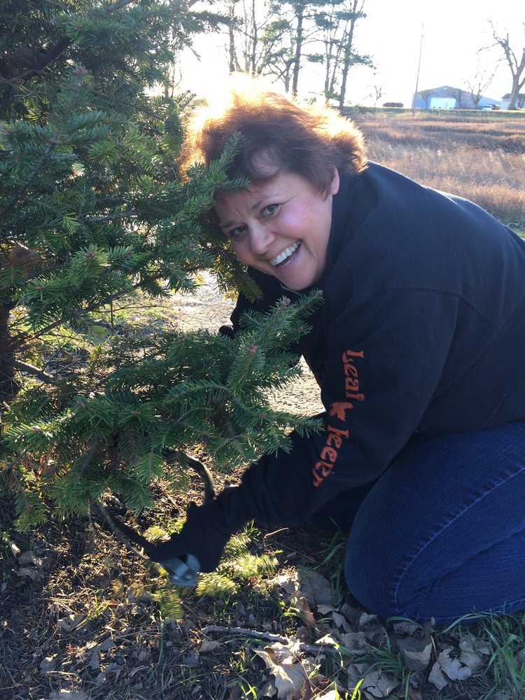 camelot christmas tree farm 聖誕樹 16380 s somonauk rd 迪 camelot christmas tree farm 聖誕樹 16380 s somonauk rd 迪