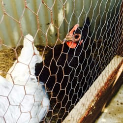 Camelot Kids - Los Angeles, CA, United States. What's up?!