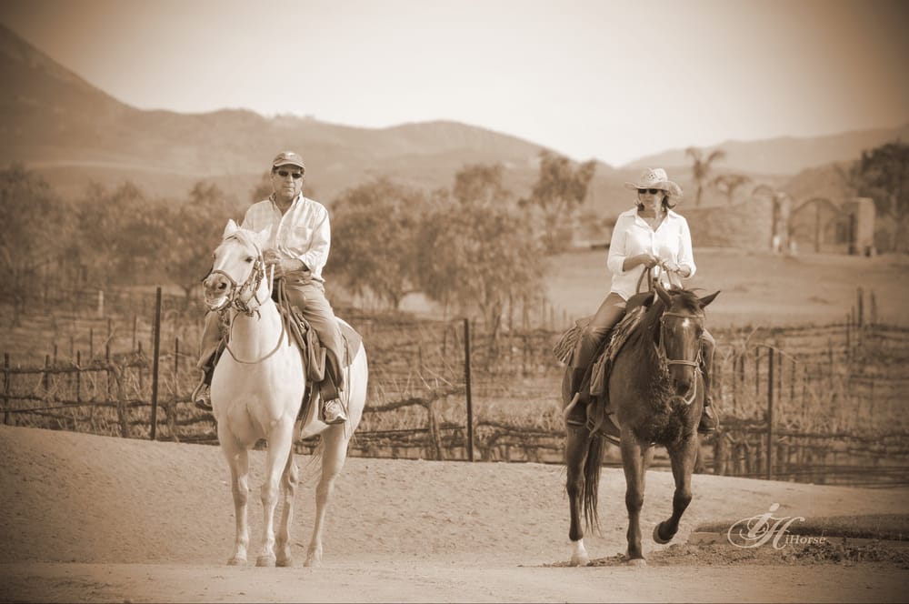 Wine Country Trails by Horseback 277 Photos & 287 Reviews Tours