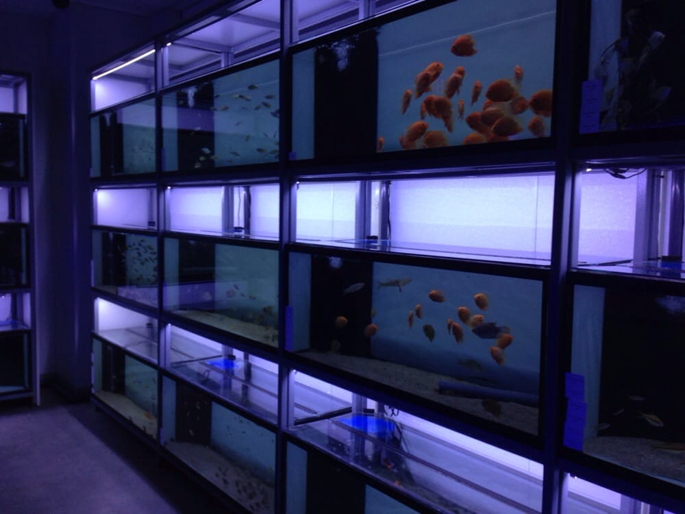 Aquarium Design Group 23 Photos & 13 Reviews Aquarium Services