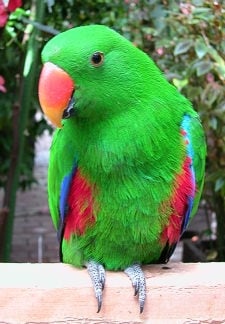 Denise S Parrot Place Mercer Island Wa Denise S Parrot Place Mercer Island Wa