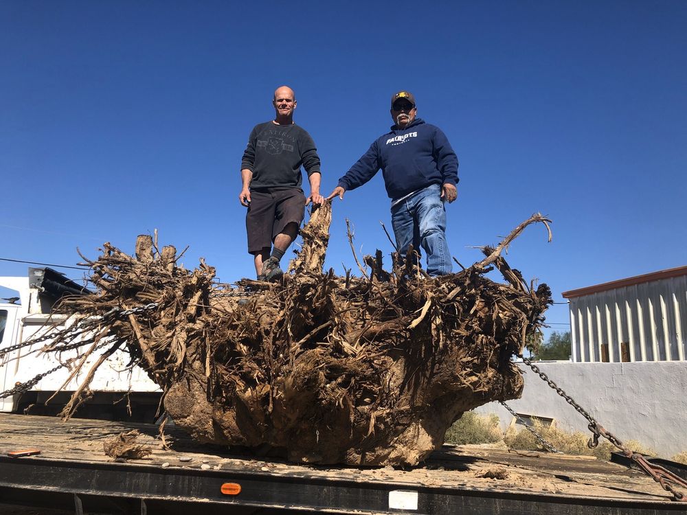 image of business Mynk Construction, Landscaping, & Pools