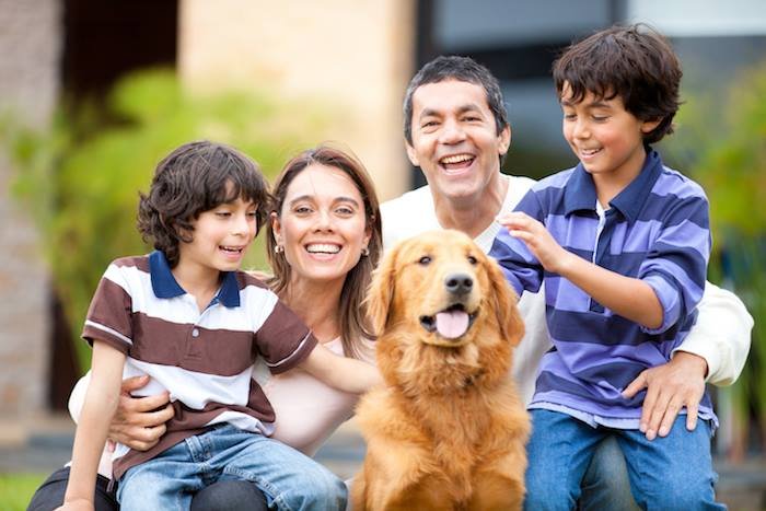 image of business Buono Pediatrics & Wellness