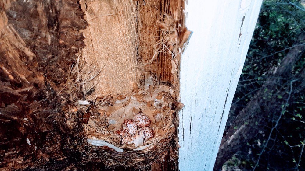 Dunrite Home Maintenance