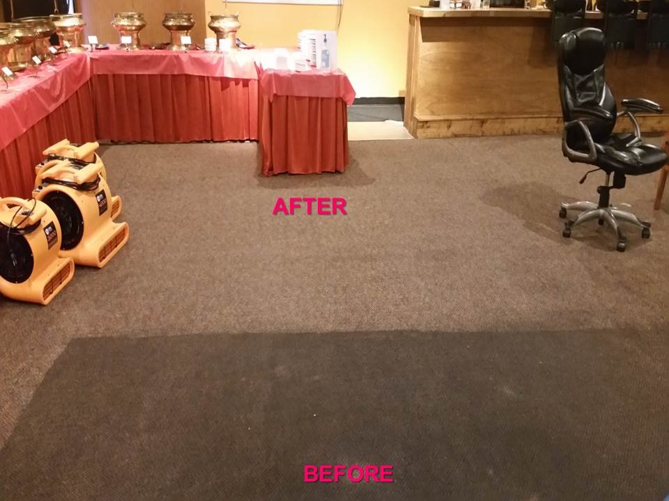 Hammers' Deep Steam Reliable Carpet Care