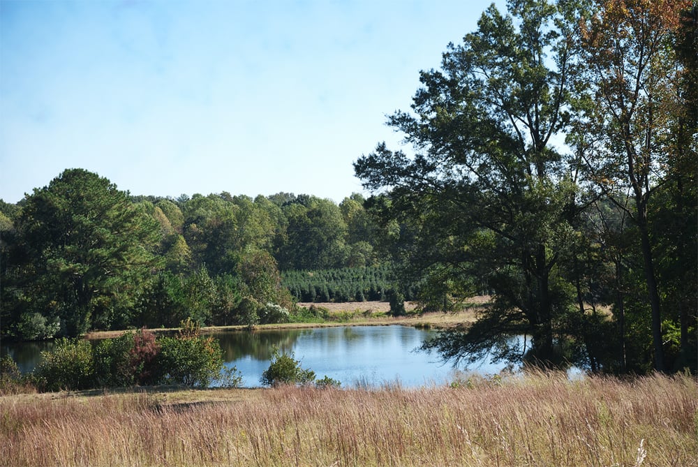 Country Fun Park Horseback Riding 3444 Plain View Church Rd, Angier
