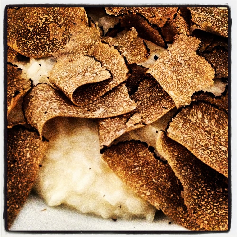 Cibus 21 Photos Italien 5 Rue Molière, Palais Royal/Musée du