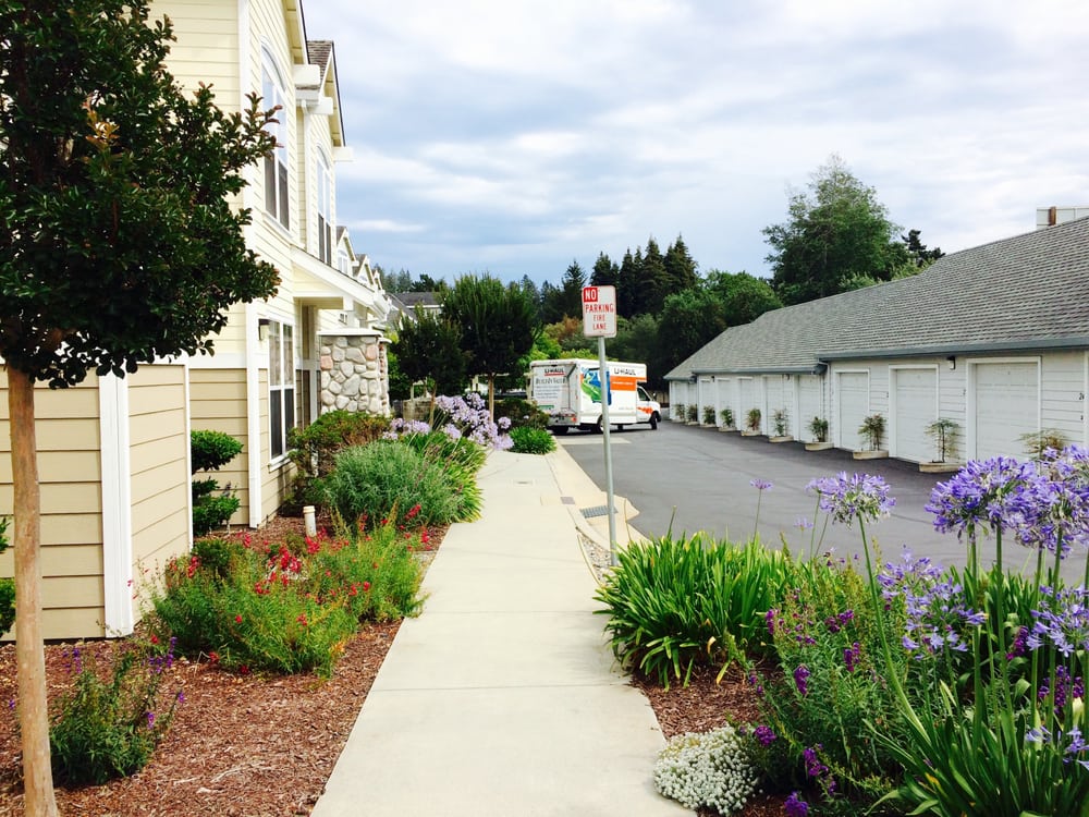 Bay Tree Apts