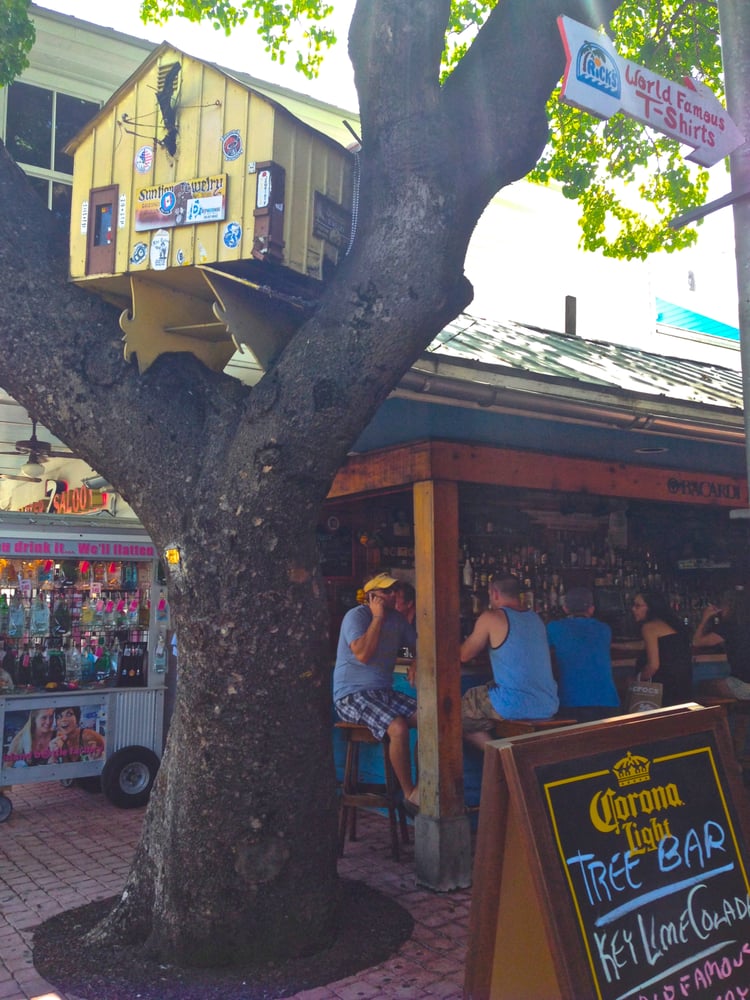 Rick’s Tree Bar 16 Photos & 17 Reviews Bars 202 Duval St Key