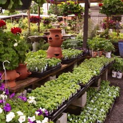 Dennis 7 Dees Landscaping Garden Center Closed 17 Photos 28 Photo Of Dennis 7 Dees Landscaping Garden Center Portland Or United