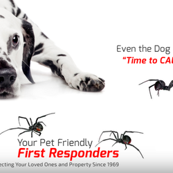 hydrex termite pest control