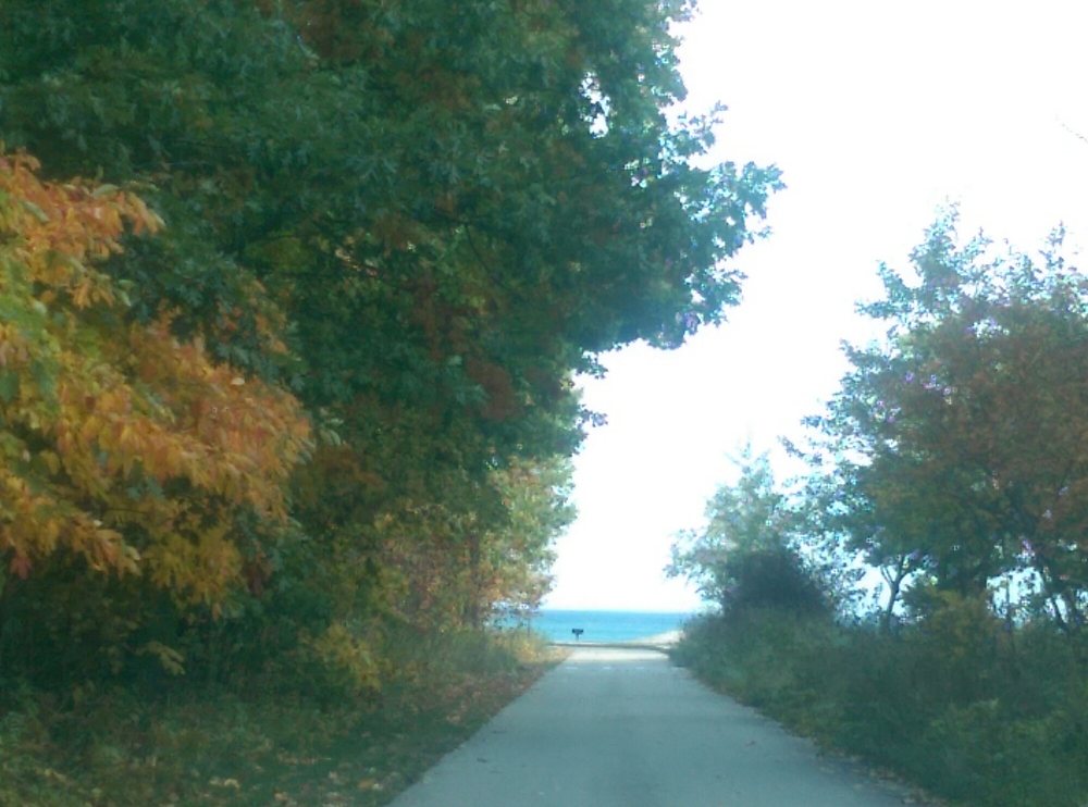 Fort Gratiot County Park 12 Photos Parks 200 Grand River Ave