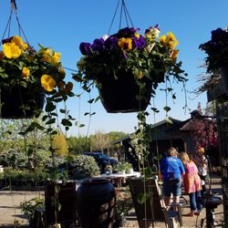 Fossil Creek Nursery Nurseries Gardening 7029 S College Ave Photo Of Fossil Creek Nursery Fort Collins Co United States