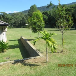 Photo of Prodigy Lawns - Holloways Beach Queensland, Australia. House Acreage Mulch Mow by Prodigy Lawns