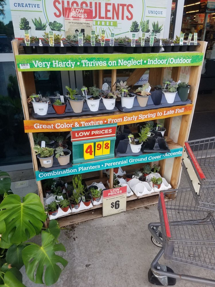 H-E-B