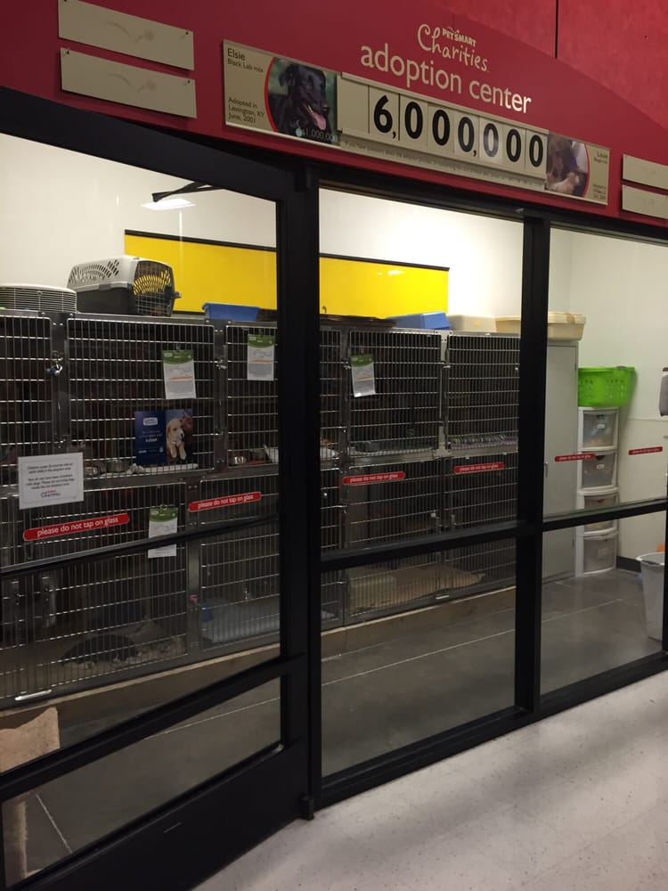 PetSmart 13 Photos & 40 Reviews Pet Training 3855 E Thomas Rd