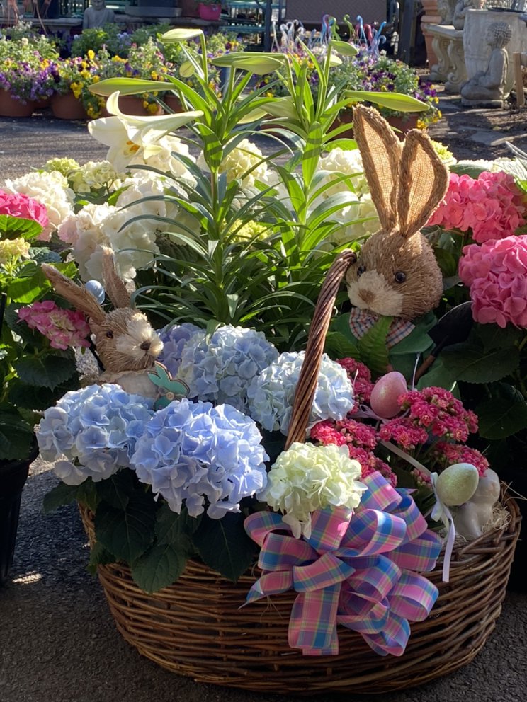 Michael S Garden Gate Nursery Gift Cards And Certificates Mount Kisco Ny Giftrocket Michael S Garden Gate Nursery Gift, Garden Gate Nursery