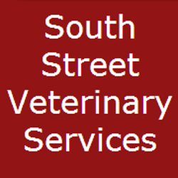 south st veterinary services veterinarians 864 south st