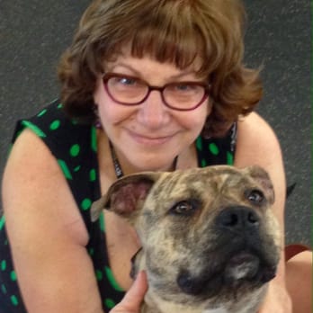 Aggressive Dog Training Pasadena Ca Aggressive Dog Training Pasadena Ca