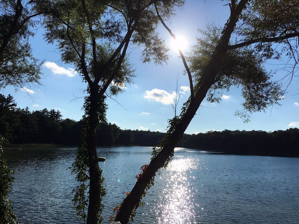 Government Lake Lodge 13 Photos & 24 Reviews American (Traditional