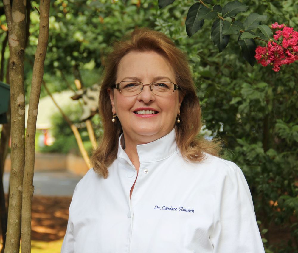 image of business Rausch Family Dentistry