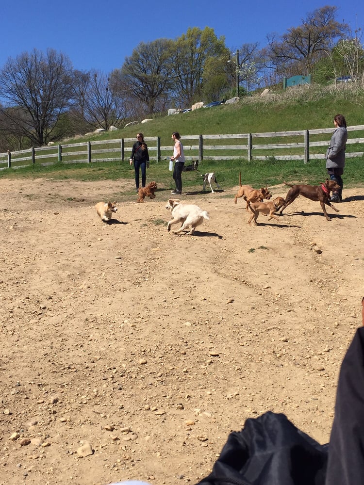 Church Hill Dog Park 13 Photos Dog Parks E Grace St, Church Hill