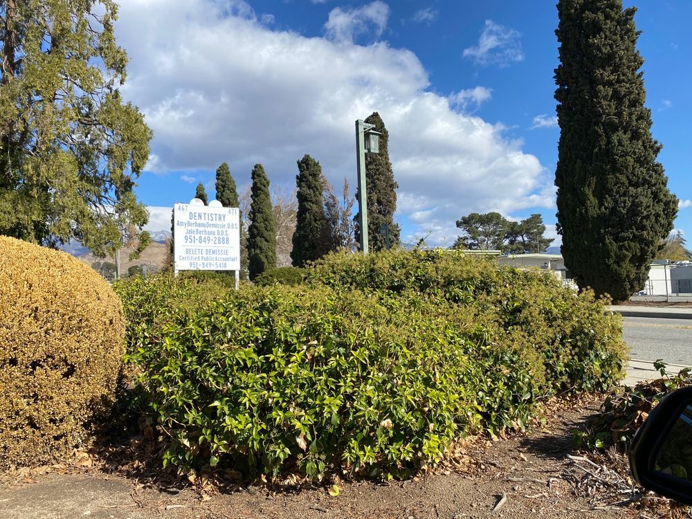 image of business Amy Berhanu Demissie, DDS, PC