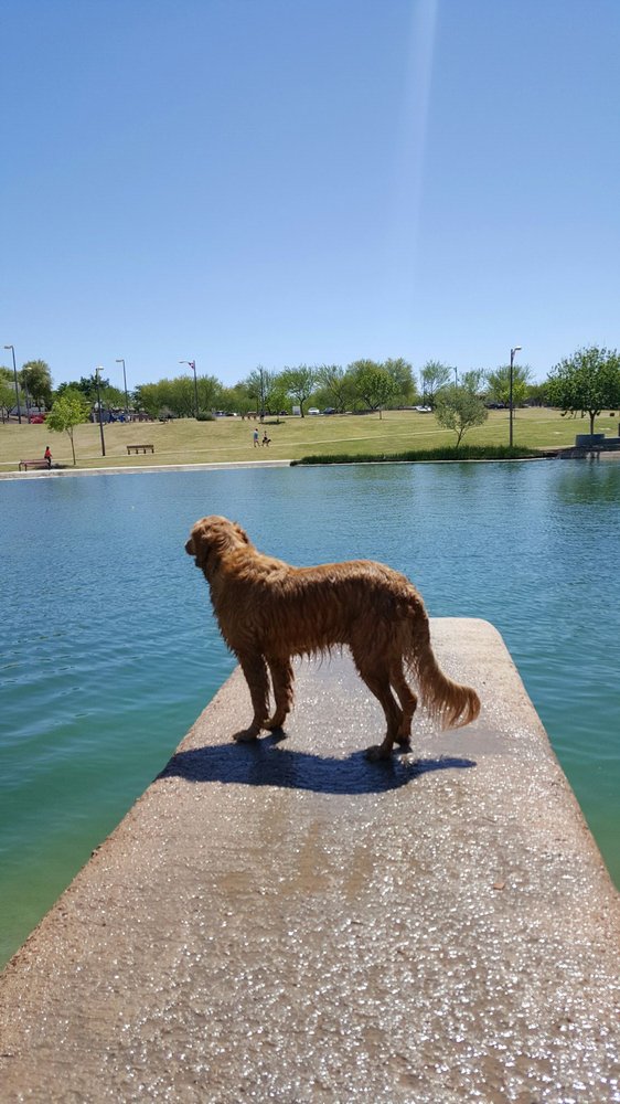 Cosmo Dog Park 121 Photos & 209 Reviews Dog Parks 2502 E Ray Rd