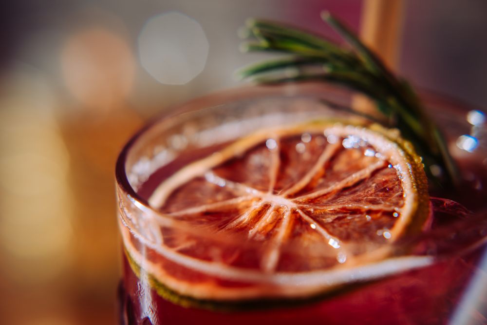 Kissa Kissa Kissa Kissa